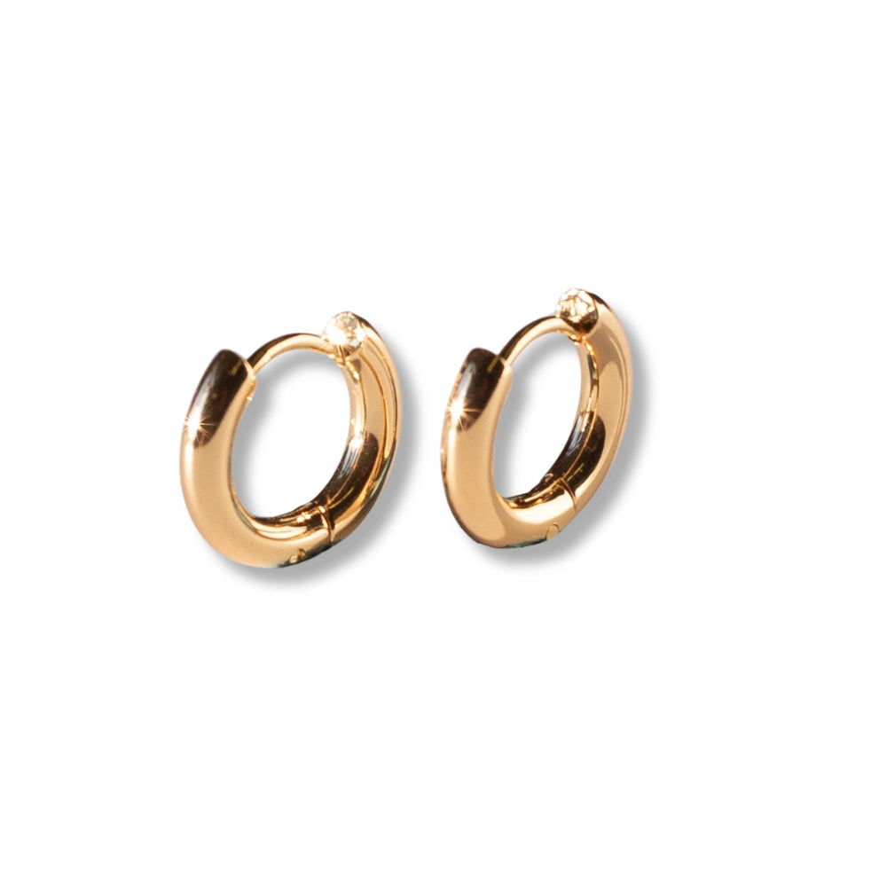 Gold Hoop Huggie Earrings