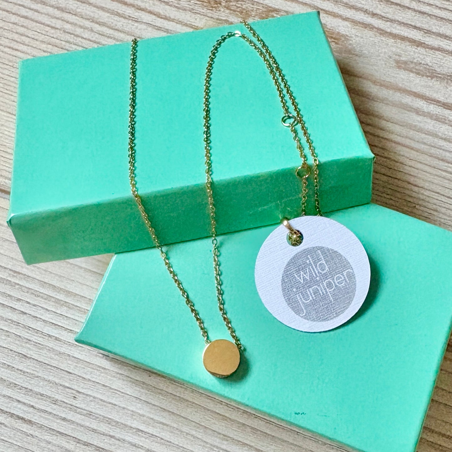 Dainty Gold Circle Necklace