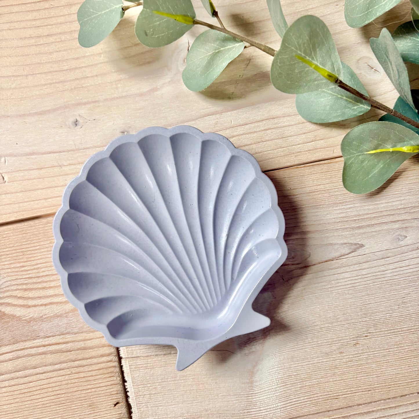 Shell Trinket Dish