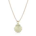 Seashell Necklace