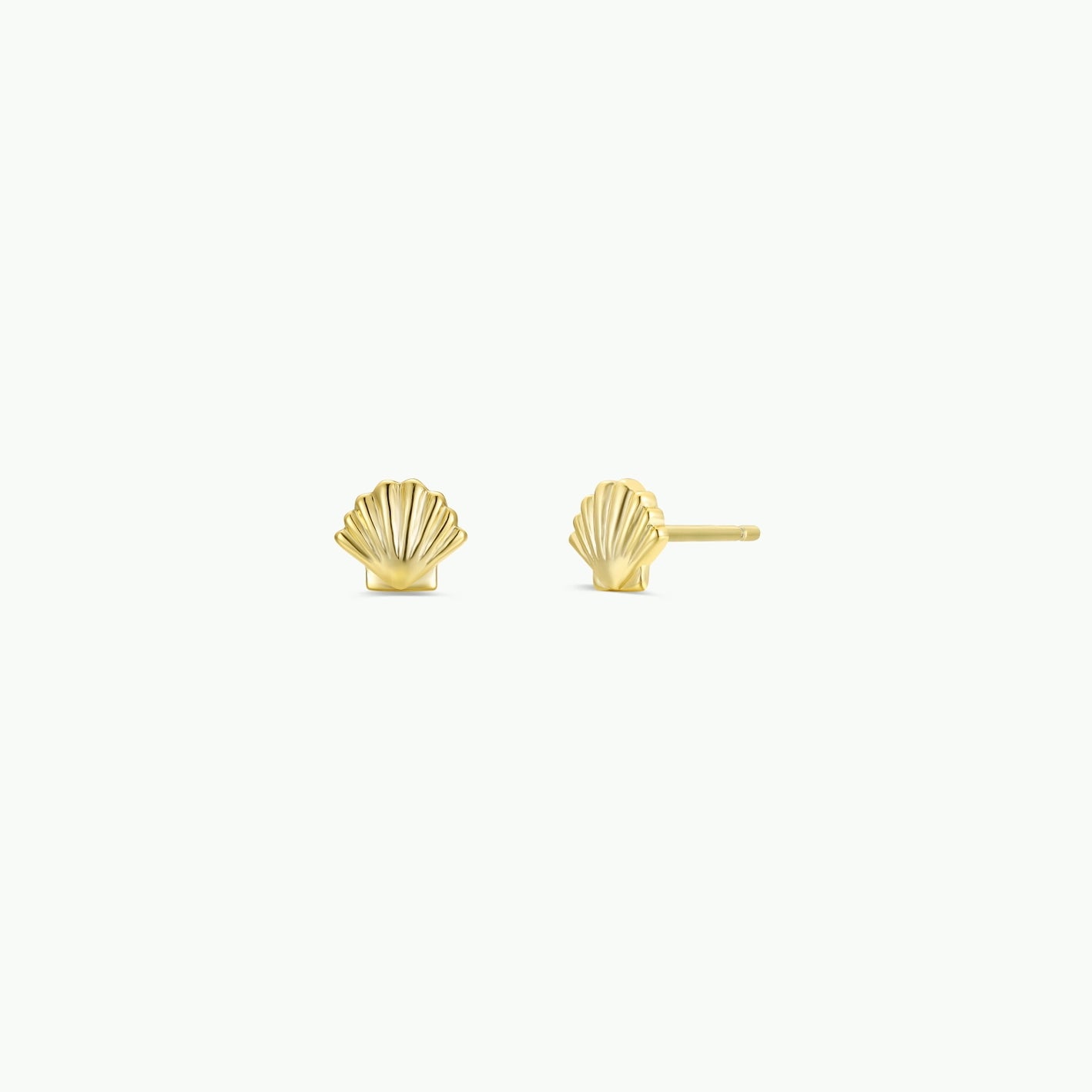 Seashell Gold Earrings