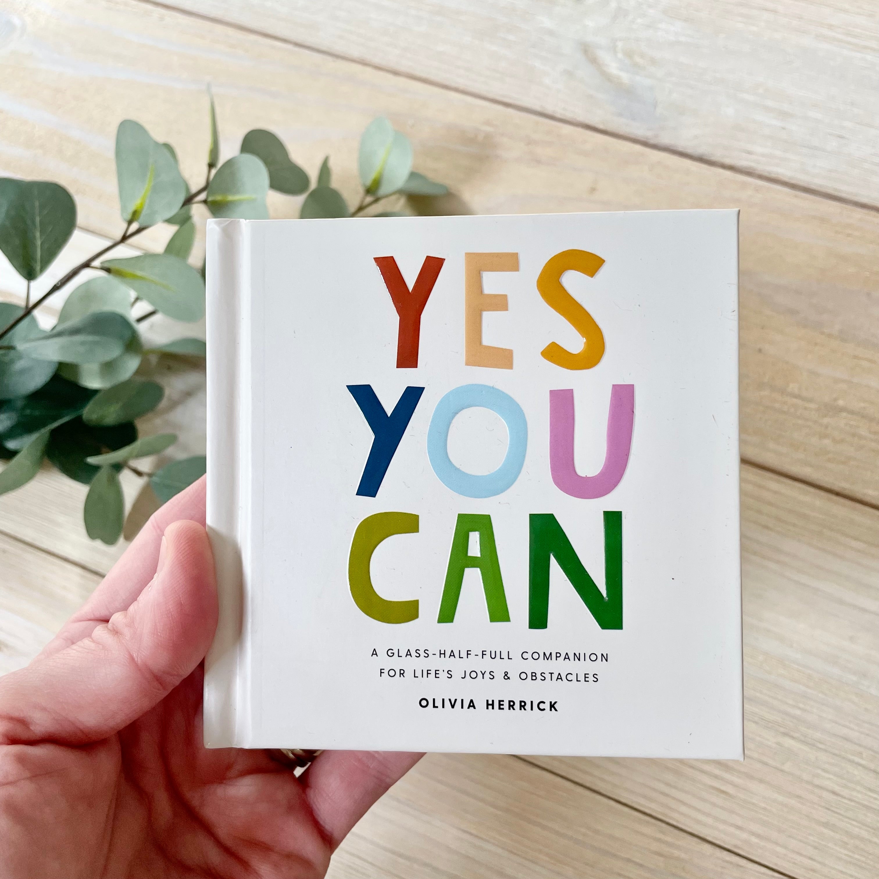 Yes You Can Mini Book