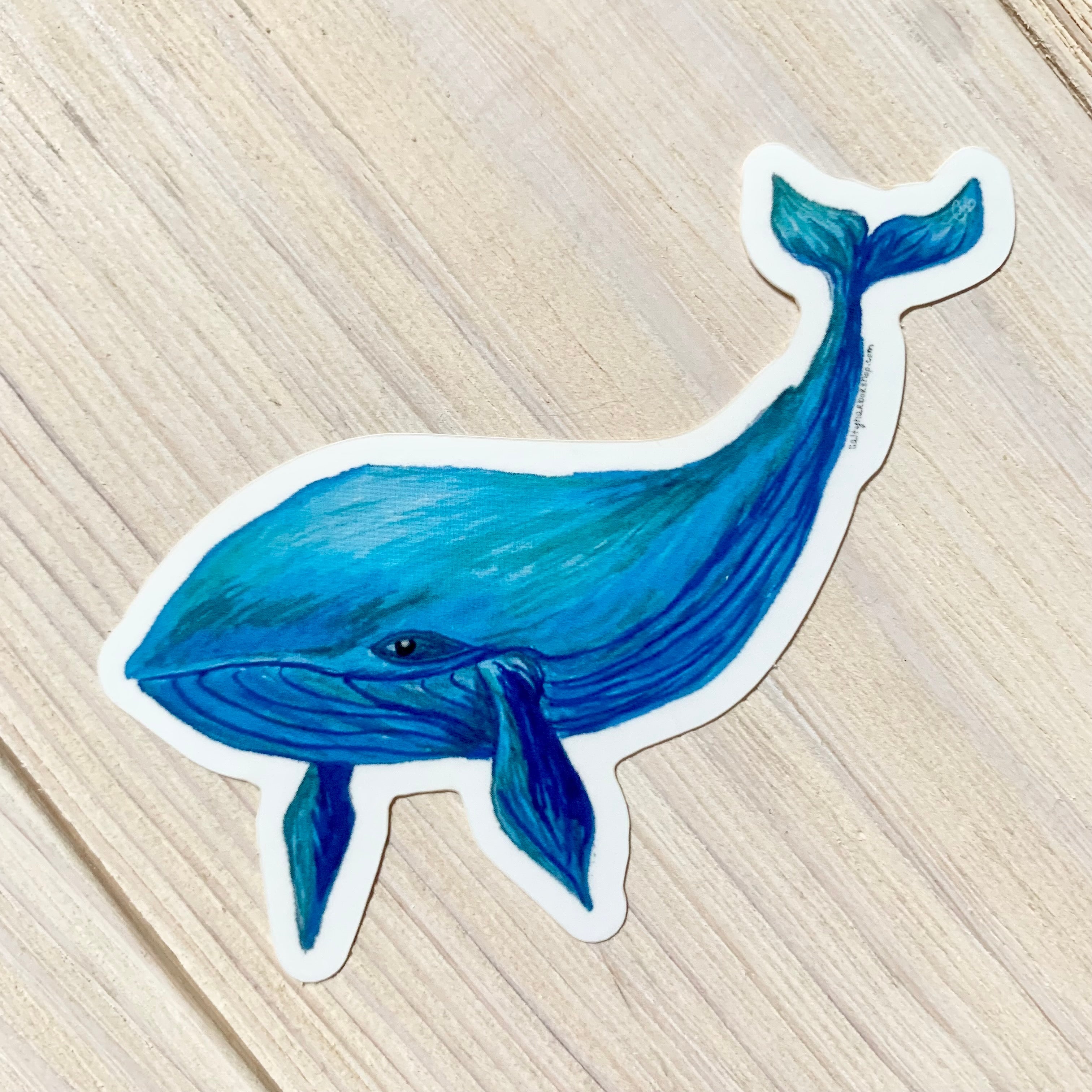 Whale  Sticker