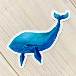 Whale  Sticker